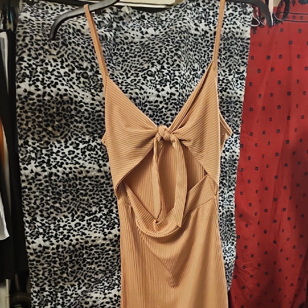 Elegant Tan Spaghetti Strap Dress